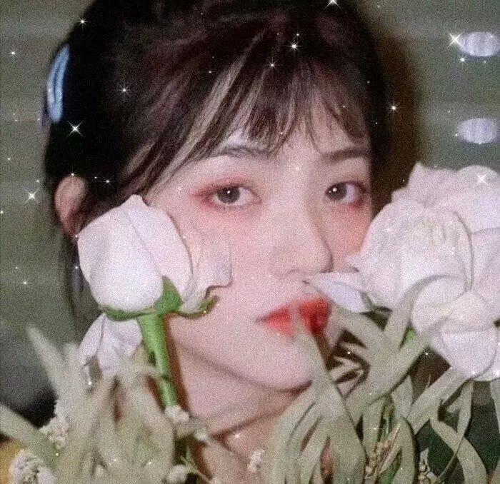 龙潭群英粤语 封面